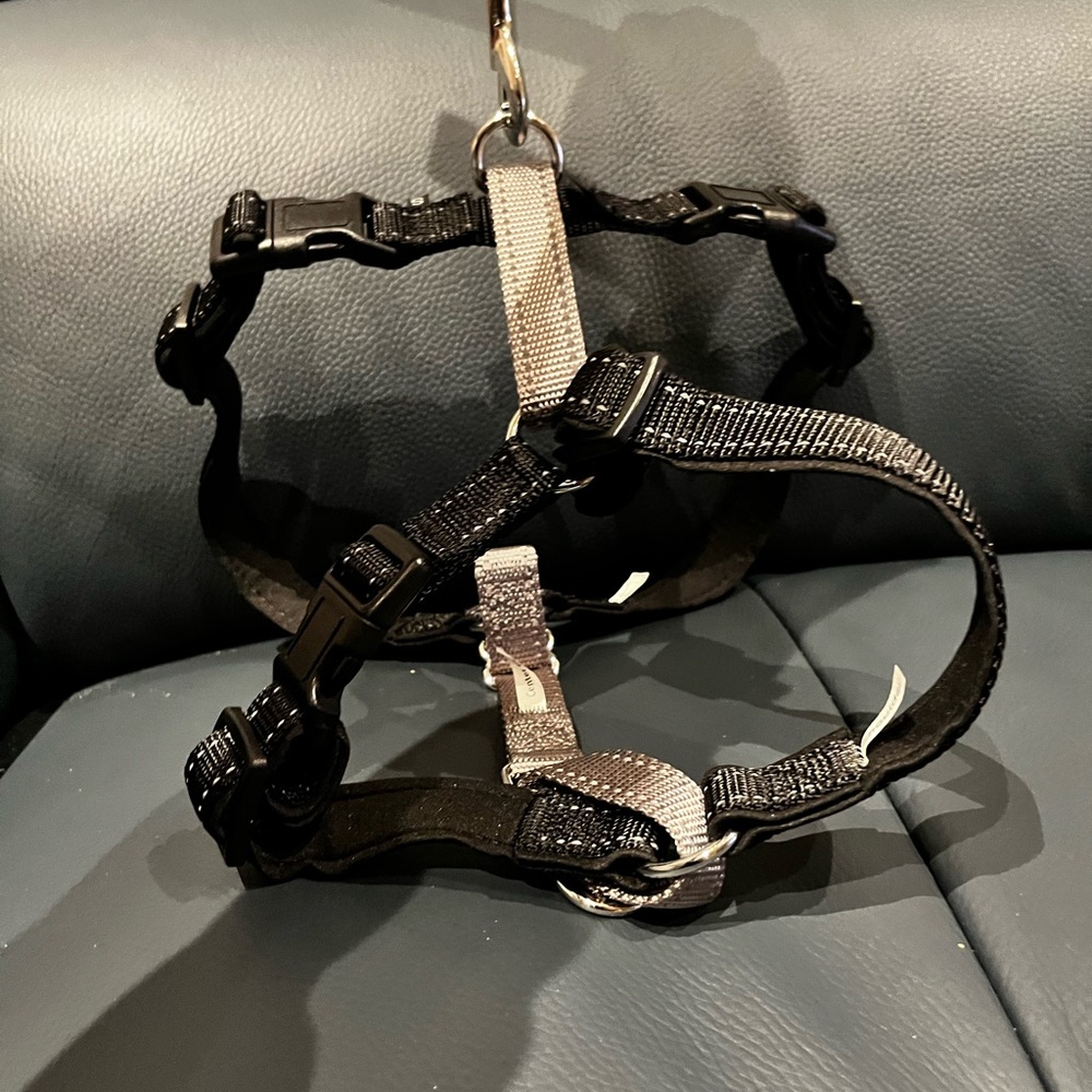 PetSafe 3 in 1 Harness